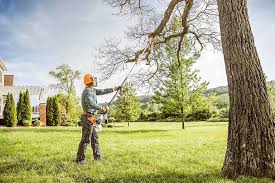 Best Tree and Shrub Care  in Hazardville, CT